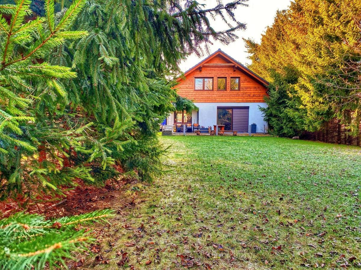 Willa Pod Skocznia Щирк Экстерьер фото